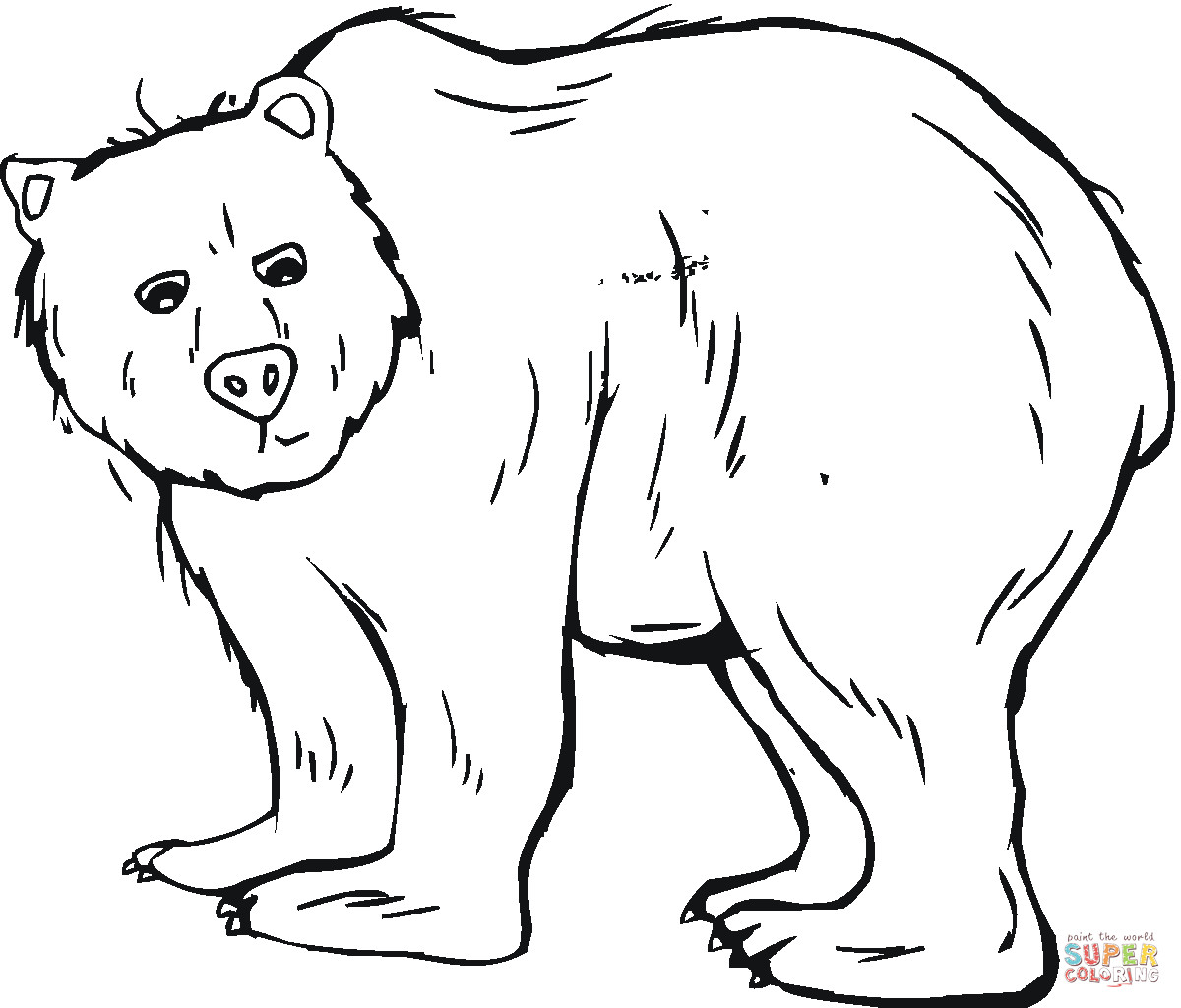 Распечатка медведя. Медведь раскраска. Медведь раскраска для детей. Медведь рисунок. Картинки для раскрашивания медведь.