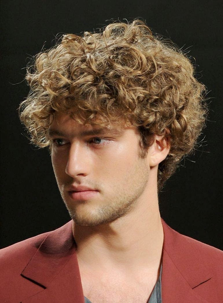 Haircuts For Men With Curly Hair
 Hairstyle 2014 Men s Curly Hairstyles 2014