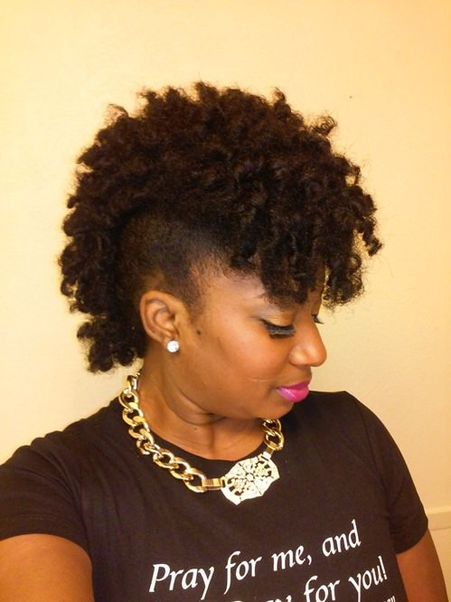 Best ideas about Hairstyle With Natural Hair
. Save or Pin 20 Fancy Twist Hairstyles for Natural Hair Now.