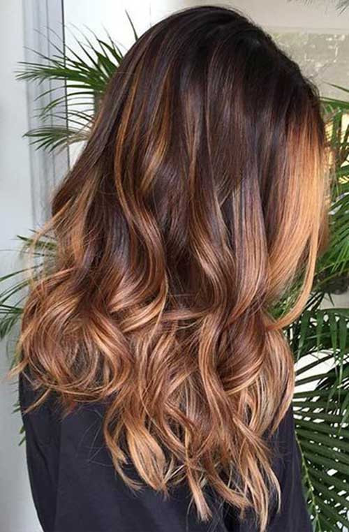 Hairstyles And Color For Long Hair
 Hair Color Ideas