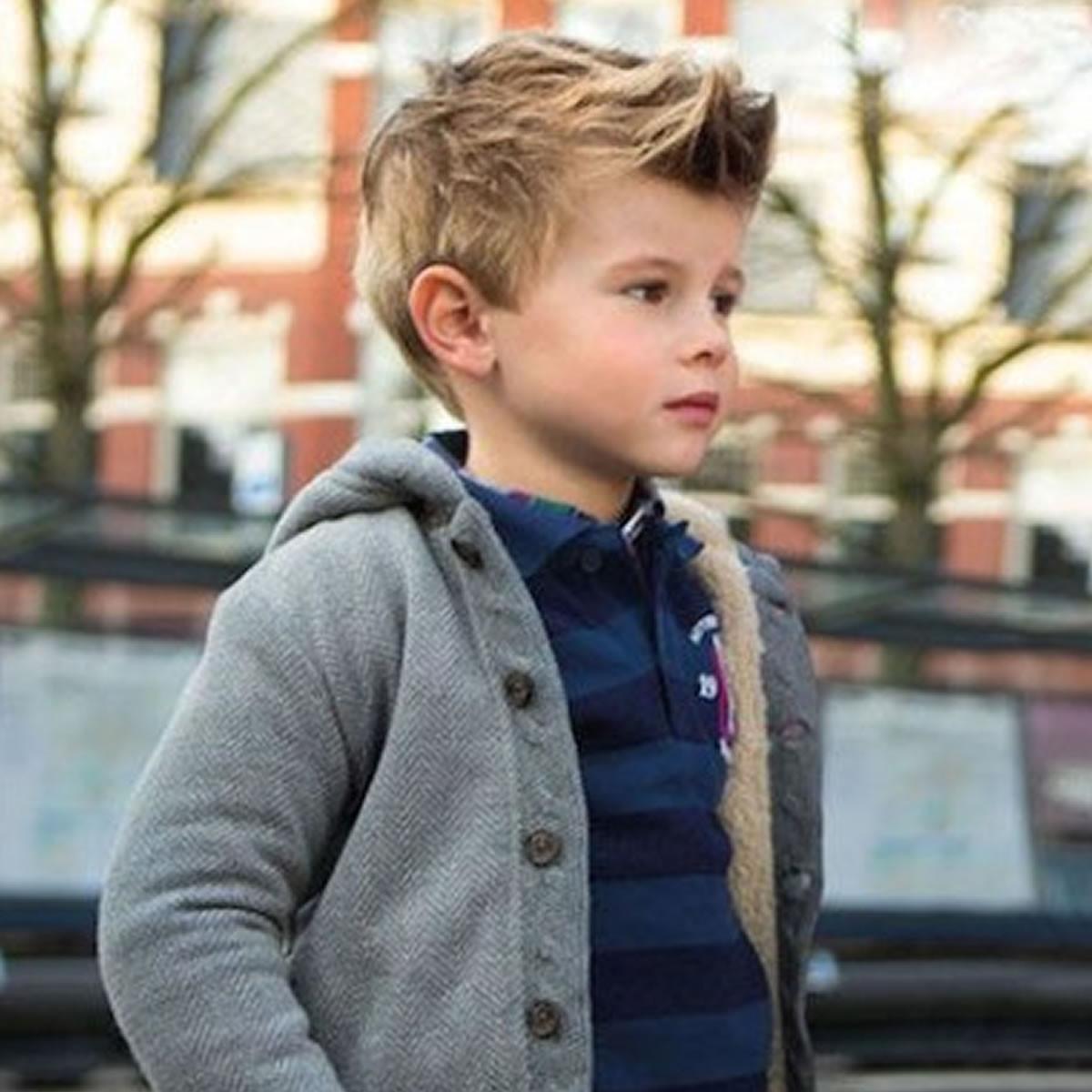 Hairstyles Boys 2019
 Great Hairstyles and Haircuts ideas for Little Boys 2018