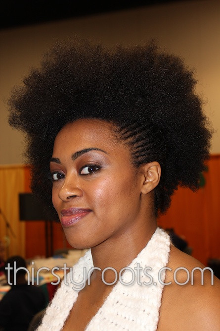 Hairstyles For Black Hair
 African American Natural Hair