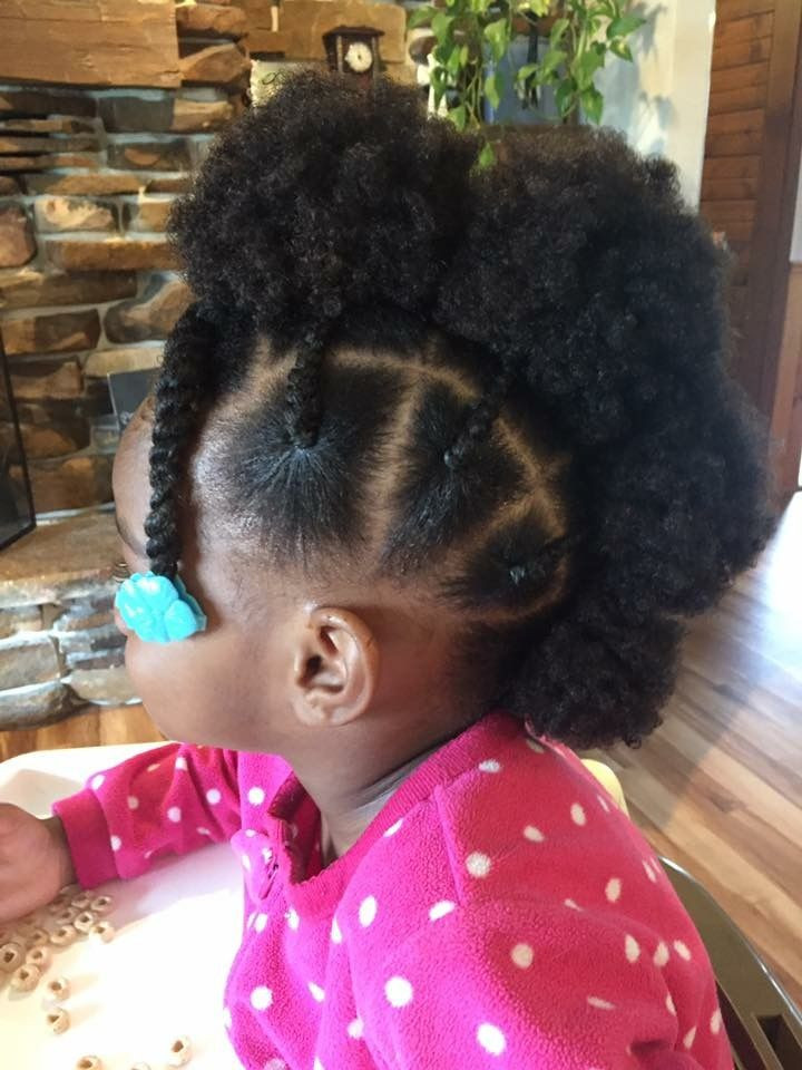 Hairstyles For Little Girls With Natural Hair
 Cute Easy Hairstyles For Black Babies