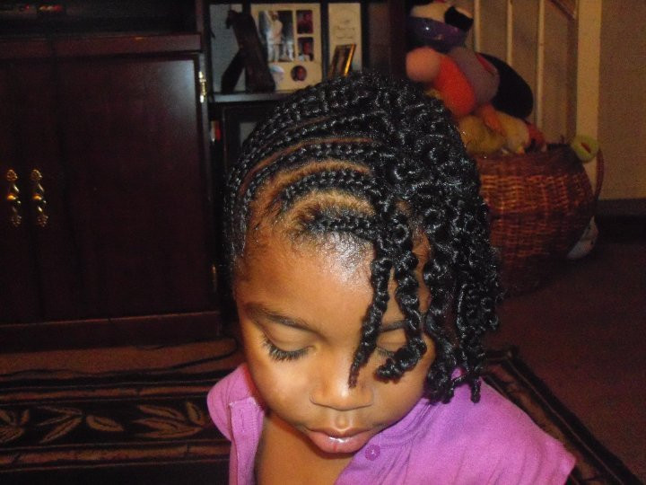 Hairstyles For Little Girls With Natural Hair
 Cute hairstyles for black girls with natural hair
