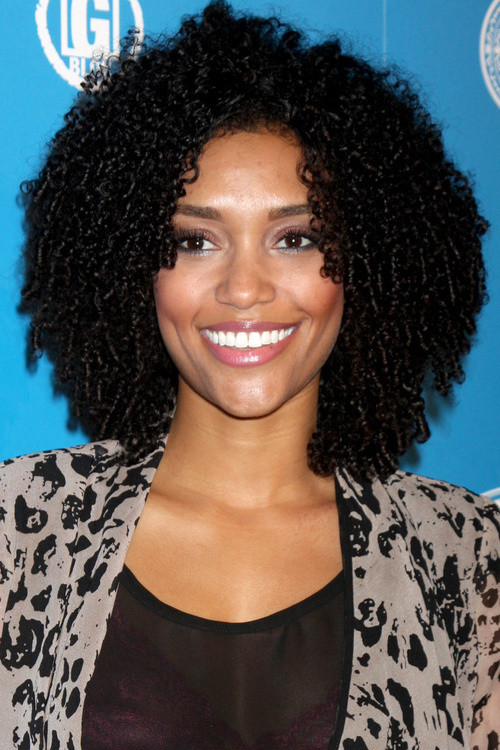 Hairstyles For Naturally Curly African American Hair
 African American Natural Hairstyles For Medium Short