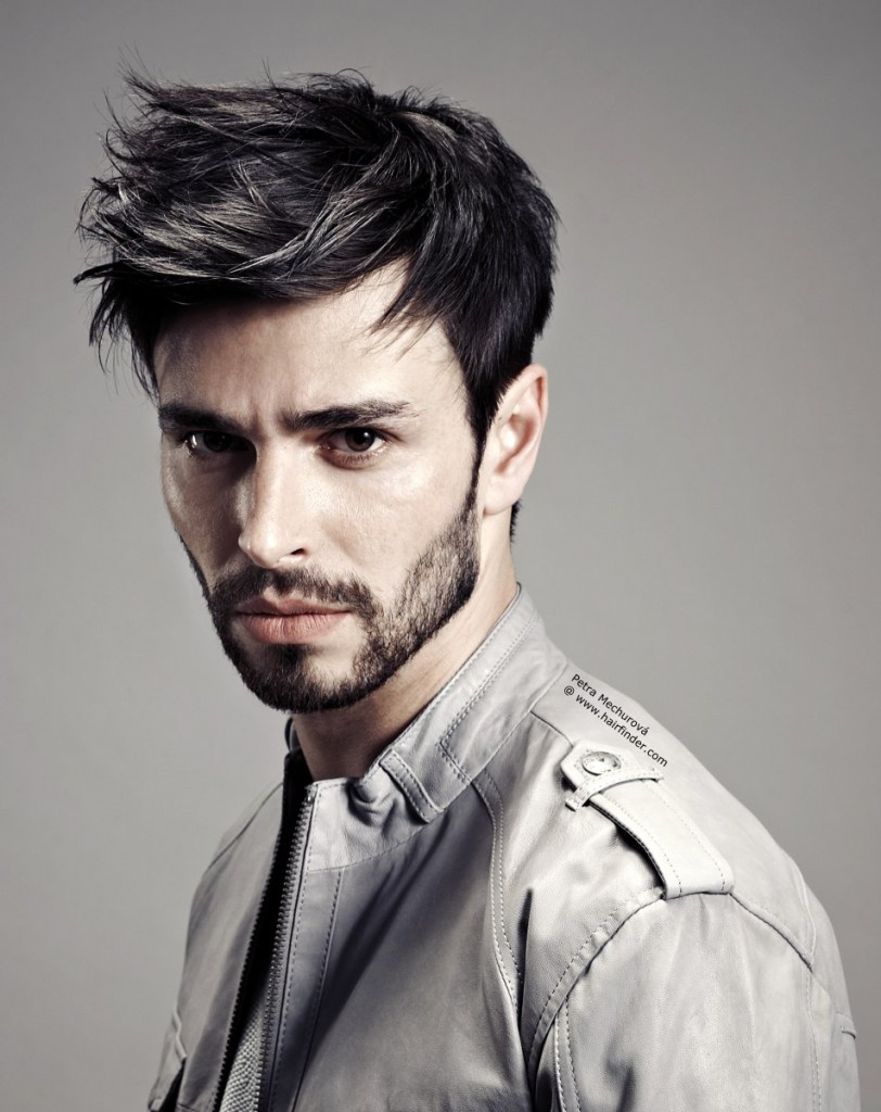 Hairstyles Male
 Hipster Haircut For Men 2015