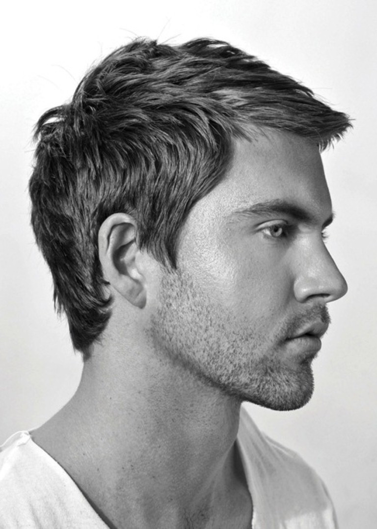 Hairstyles Male
 Best Short Hairstyles for Men