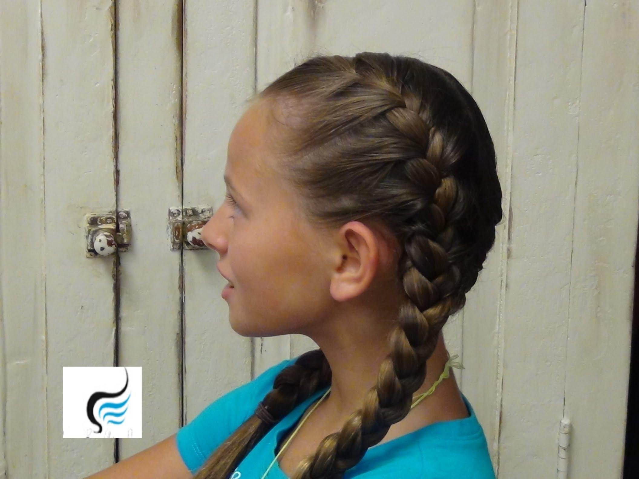 Hairstyles With Two Braids
 Two French Braids Hairstyles – French Women