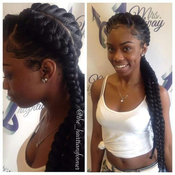 Hairstyles With Two Braids
 Two Braids Hairstyles