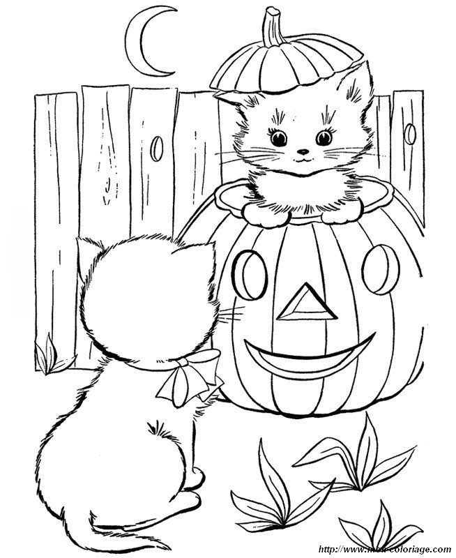 Halloween Coloring Pages For Girls 15 And Up
 Coloriage de Chat dessin dans une citrouille pour