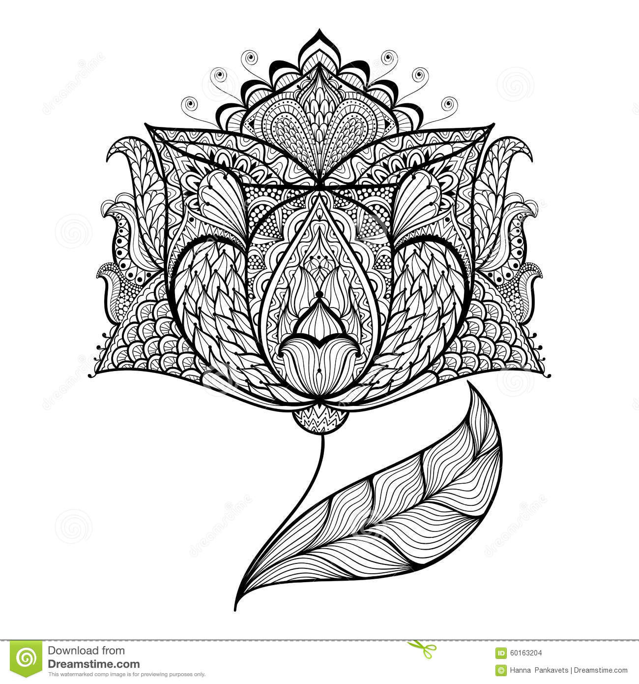 Hand Drawn Coloring Pages
 Hand Drawn Magic Flower For Antistress Coloring Page Stock