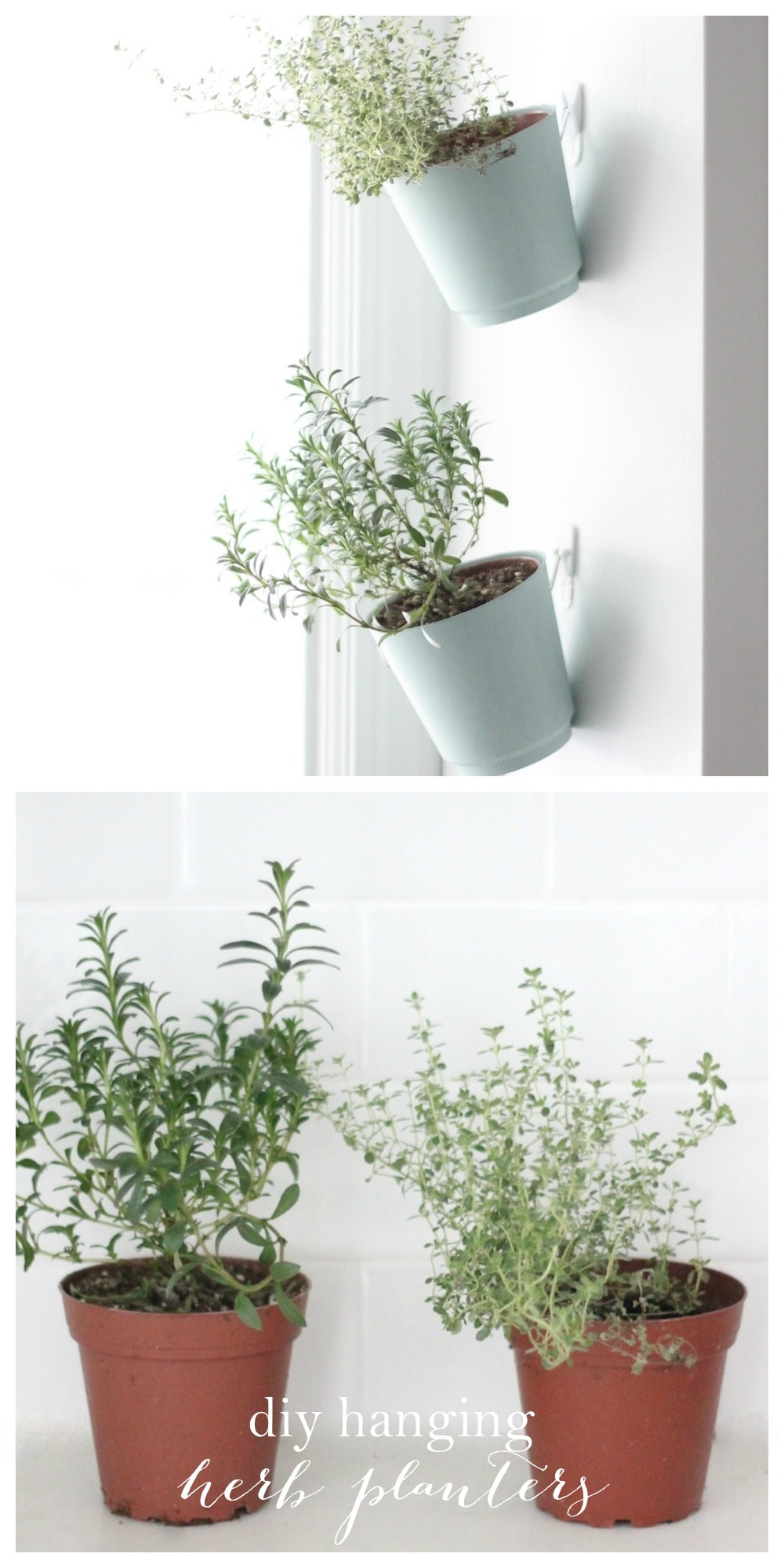 Best ideas about Hanging Wall Planter Indoor
. Save or Pin Indoor Herb Garden Now.