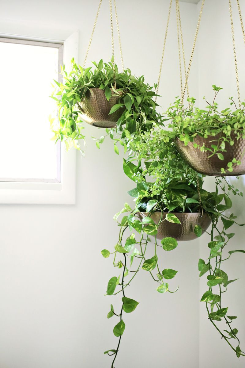 Best ideas about Hanging Wall Planter Indoor
. Save or Pin Easy Hanging Planter DIY D I Y home decor Now.
