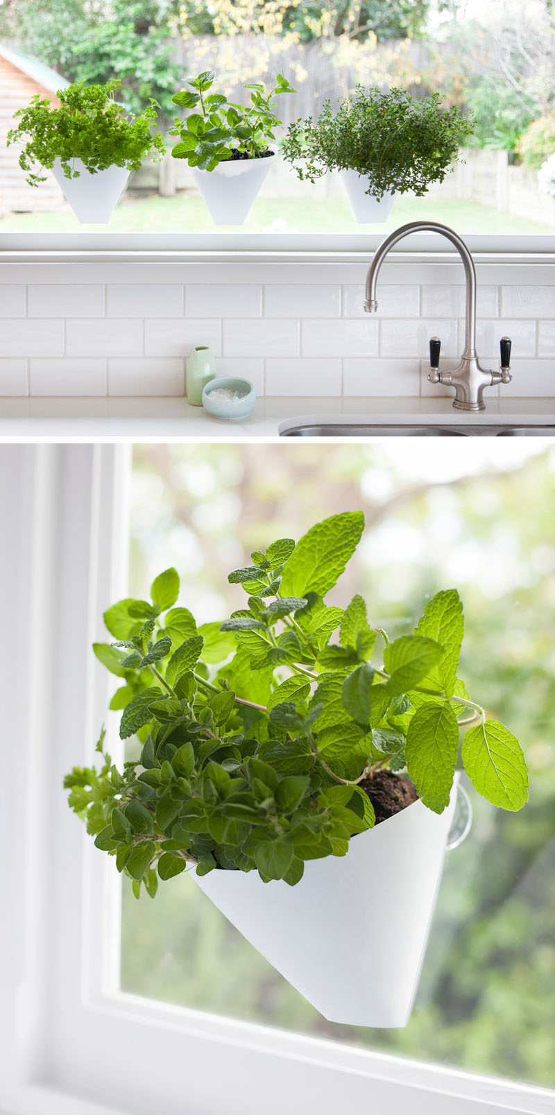 Best ideas about Hanging Wall Planter Indoor
. Save or Pin Indoor Garden Idea Hang Your Plants From The Ceiling Now.
