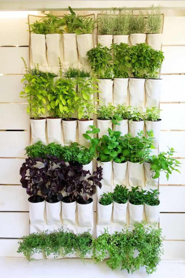 Best ideas about Hanging Wall Planter Indoor
. Save or Pin 31 Fantastic Wall Planter Ideas For Small Balcony Now.