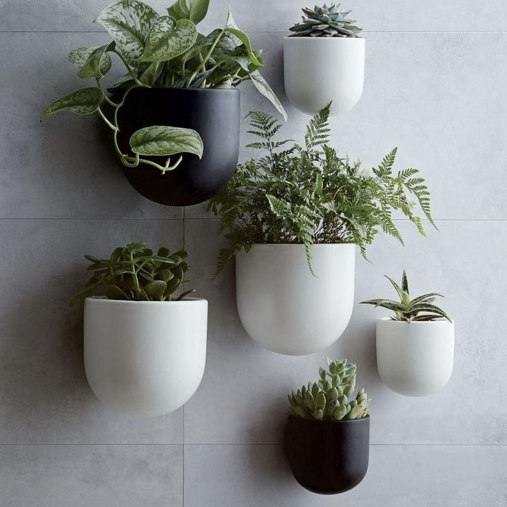 Best ideas about Hanging Wall Planter Indoor
. Save or Pin Terrarium Design amusing wall mounted pots for plants Now.