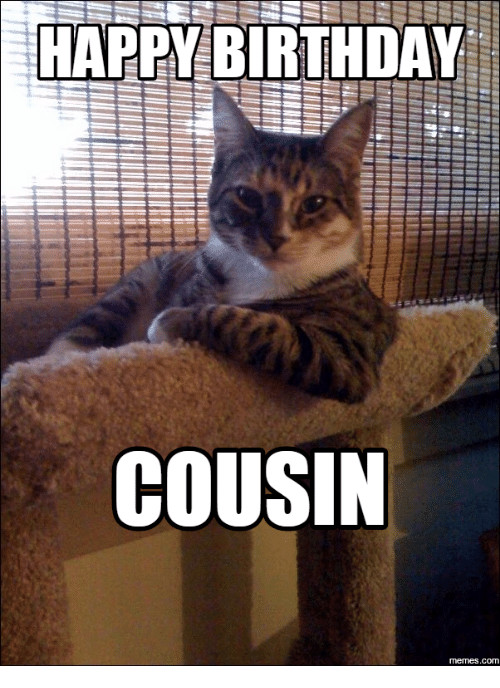 Best ideas about Happy Birthday Cousin Meme Funny
. Save or Pin 25 Best Memes About Happy Birthday for Cousin Now.