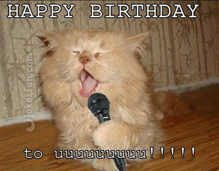 Happy Birthday Funny Cats
 20 Cat Birthday Memes That Are Way Too Adorable