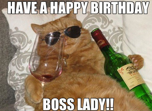 Happy Birthday Funny Cats
 It s The Head Cat s Birthday