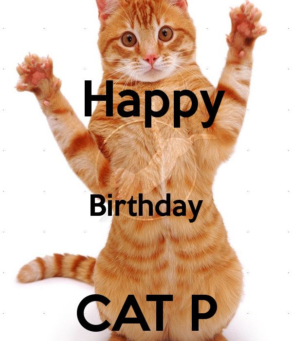 Happy Birthday Funny Cats
 Birthday Wishes With Cats Page 6