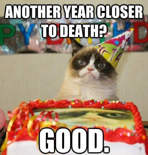 Happy Birthday Funny Cats
 25 Happy Birthday Funny Quotes – Quotes Words Sayings