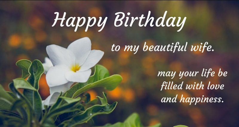 Happy Birthday Quotes For Wife
 Special Birthday Wishes