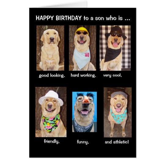 Best ideas about Happy Birthday Son Funny
. Save or Pin Funny Son Birthday Card Now.