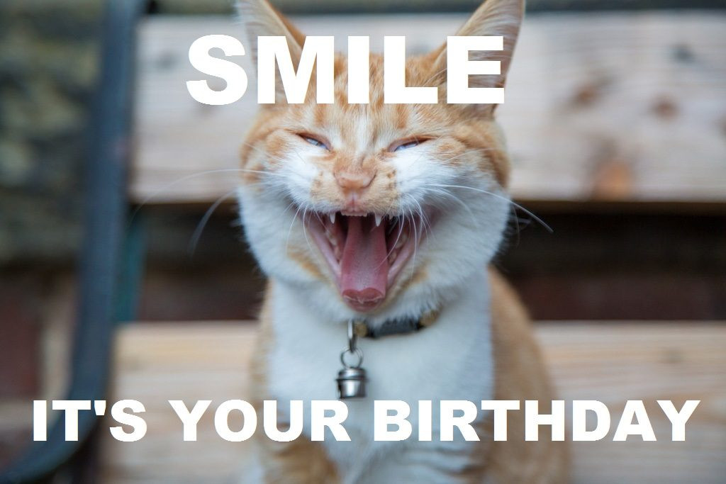 Best ideas about Happy Birthday Video Funny
. Save or Pin Happy Birthday Memes and Funny Messages Now.