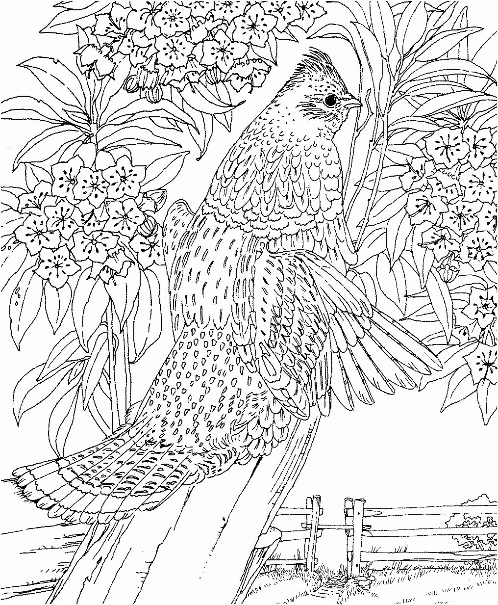 Hard Coloring Pages For Girls
 Hard Coloring Pages For Girls AZ Coloring Pages