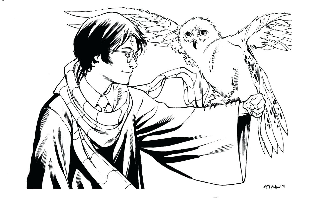 Harry Potter Coloring Pages For Teens
 Harry Potter Coloring Pages Movie