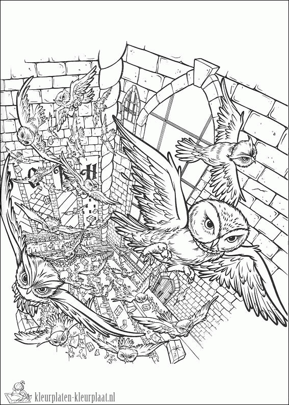 Harry Potter Coloring Pages For Teens
 Kleurplaten harry potter