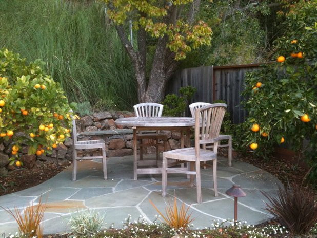 Best ideas about Harvest By The Patio
. Save or Pin Harvest the Bounty of a Patio Garden Now.
