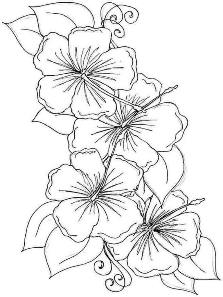 Hawaiian Coloring Pages For Teens
 Coloring Pages Hawaiian Flowers Collection