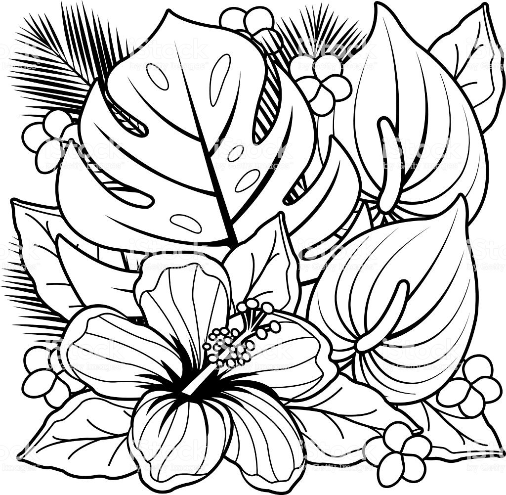 Hawaiian Coloring Pages For Teens
 Tropical Plants And Hibiscus Flowers Coloring Book Page