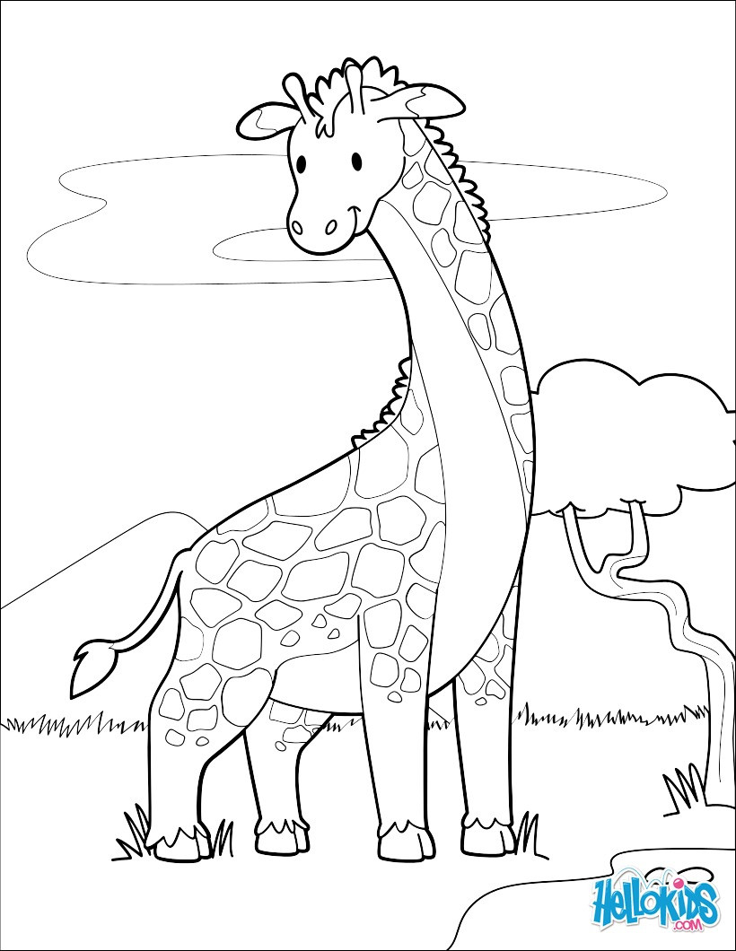 Hellokids Com Coloring Pages
 Giraffe near a lake coloring pages Hellokids