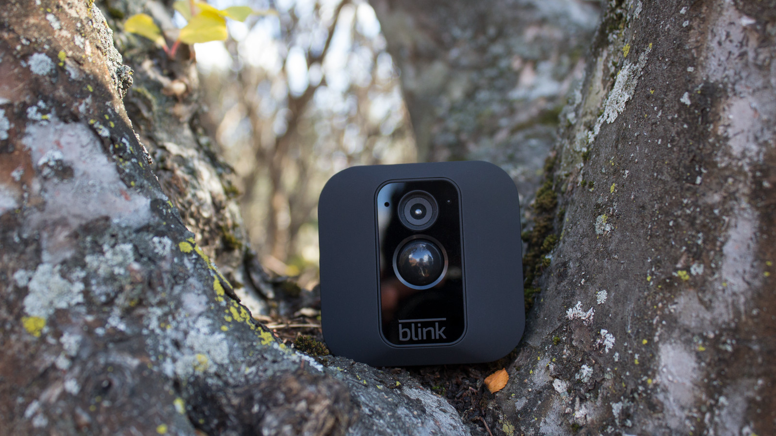 Best ideas about Hidden Outdoor Security Cameras
. Save or Pin Blink s newest security camera can be hidden in a tree Now.