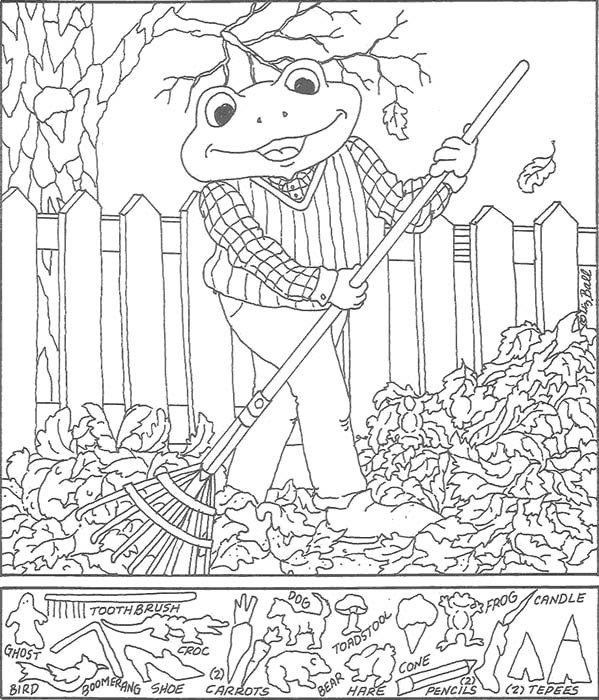 Hidden Pictures Coloring Pages
 hidden pictures for adults