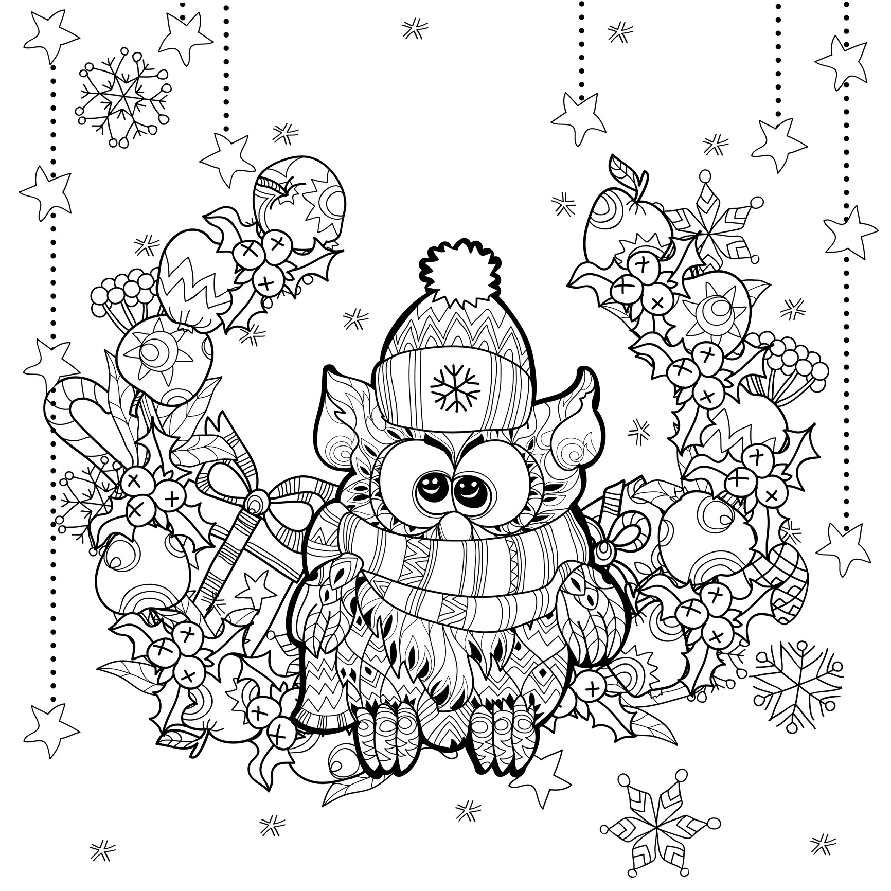 Holiday Coloring Pages For Adults
 Christmas Owl Christmas Coloring pages for adults