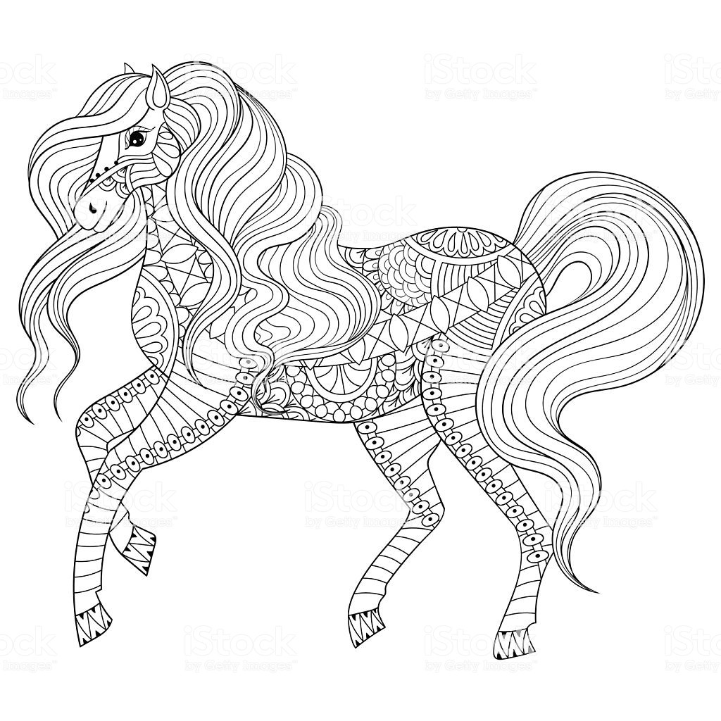 Horse Coloring Pages For Adults
 Hand Drawn Horse For Adult Coloring Page Art Therapy Stock