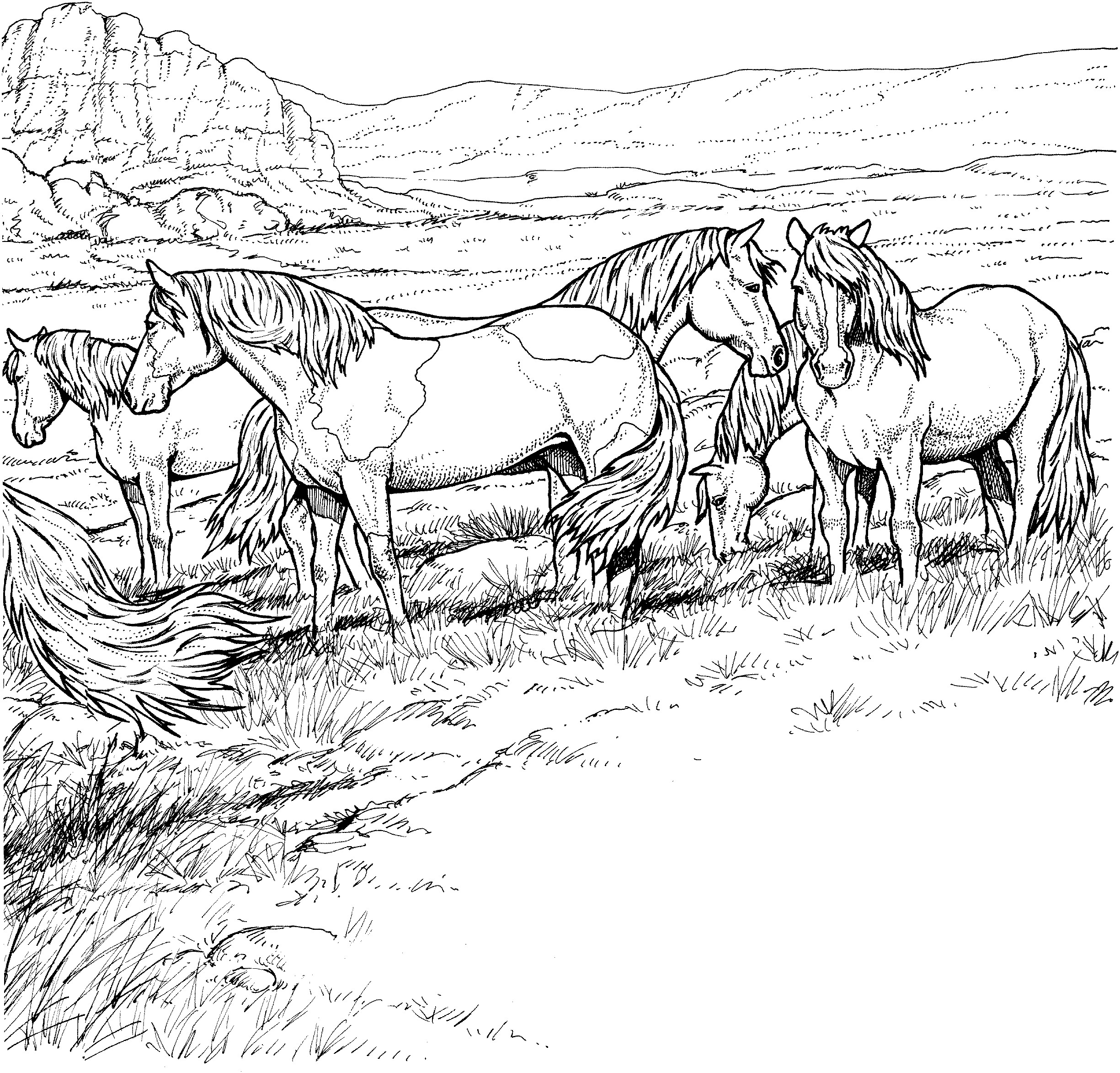 Horse Coloring Pages For Adults
 Realistic Horse Coloring Pages Bestofcoloring