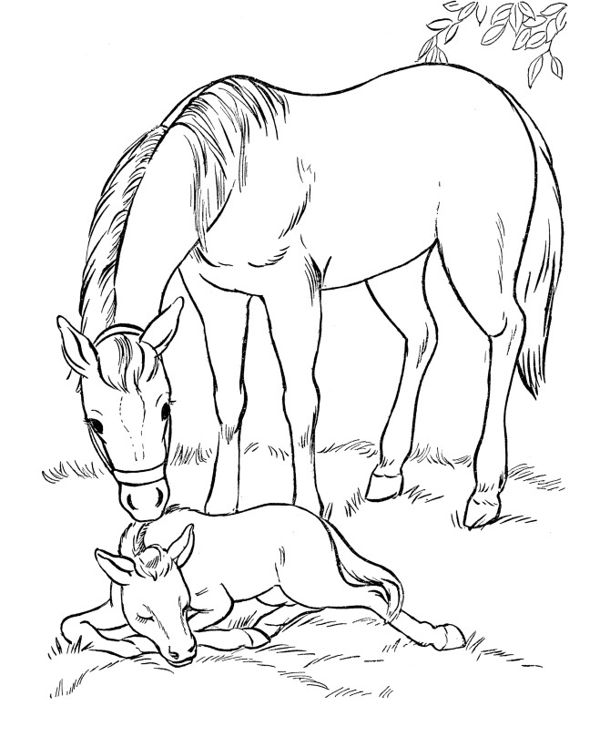Horse Coloring Pages For Kids
 Free Printable Horse Coloring Pages For Kids