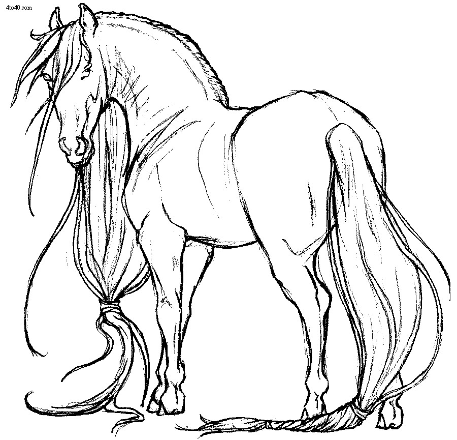Horse Coloring Pages For Teens
 Realistic Horse Coloring Pages Bestofcoloring