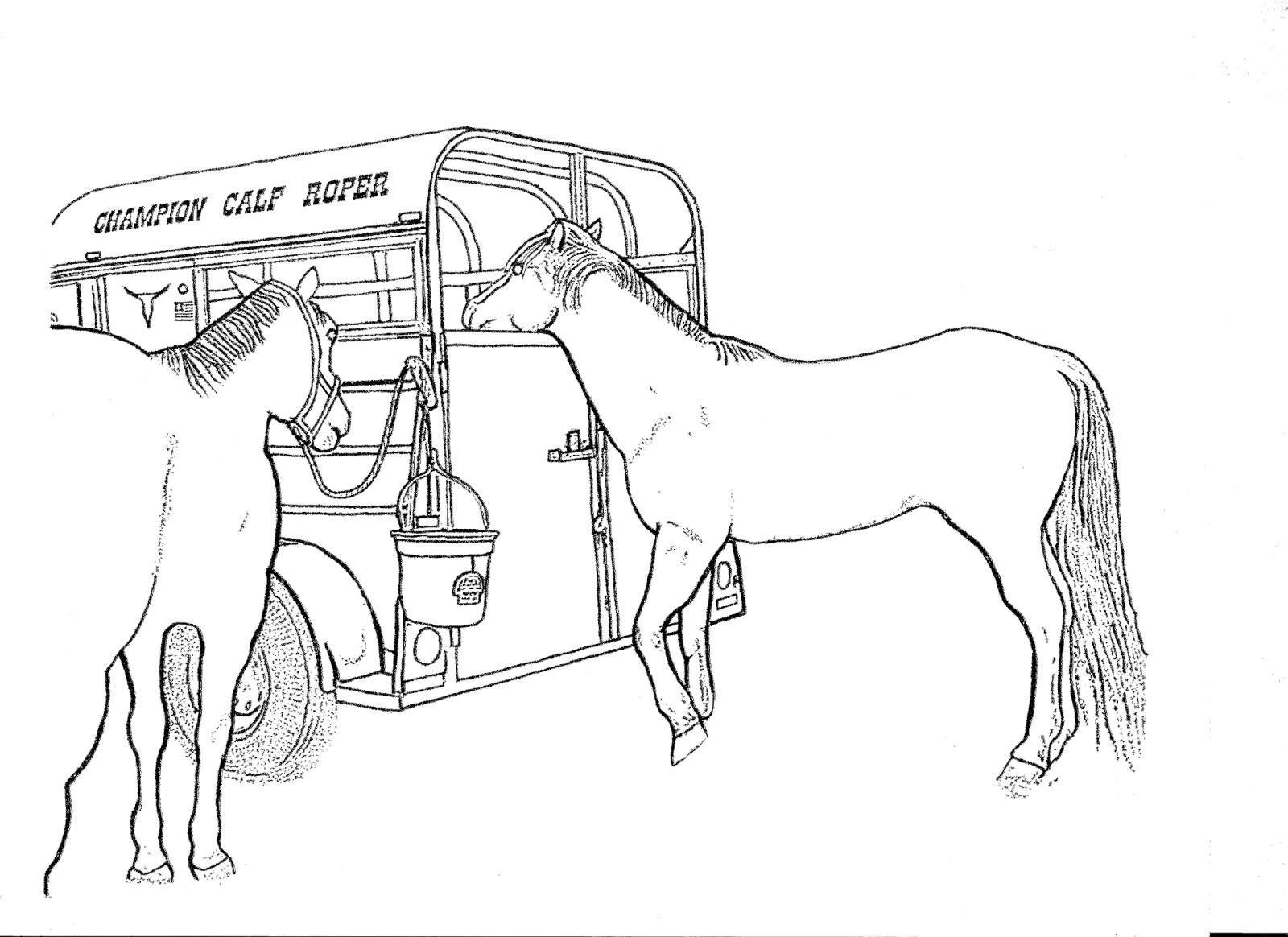 Horse Coloring Pages For Teens
 wild realistic rodeo horse coloring