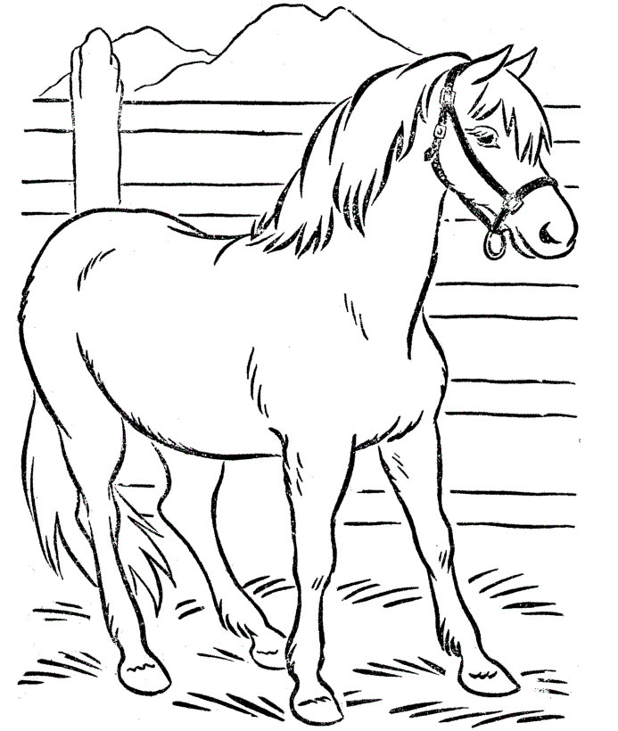 Horse Coloring Pages For Teens
 Free Printable Horse Coloring Pages For Kids