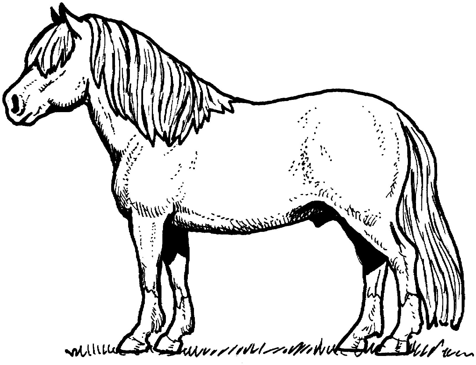 Horse Coloring Pages For Teens
 Free Horse Coloring Pages For Download
