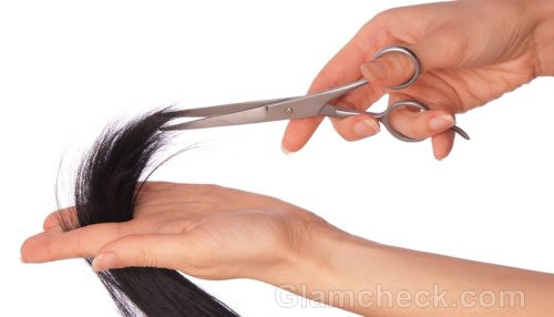 Best ideas about How To Cut Women'S Hair With Scissors
. Save or Pin Hairstyling Tools Now.