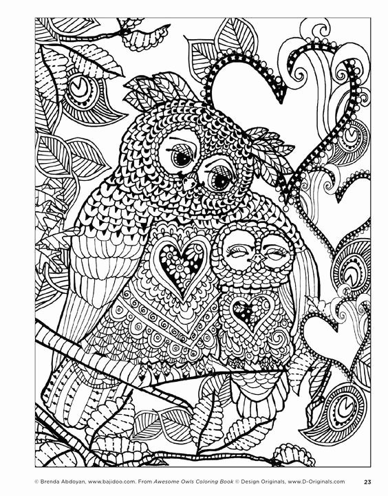 How To Publish A Coloring Book
 Owl Coloring Pages Preschool