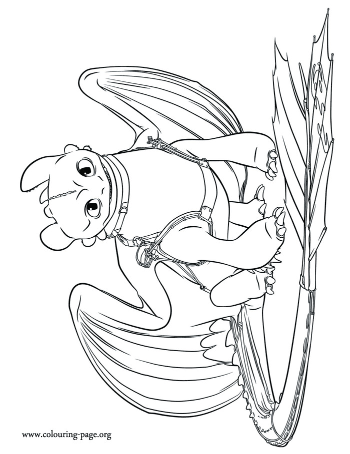 How To Train Your Dragon Coloring Pages
 How to Train Your Dragon 2 Older Toothless coloring page