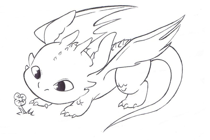 Best ideas about How To Train Your Dragon Coloring Sheets For Girls
. Save or Pin how train your dragon by foxi14 on DeviantArt Now.