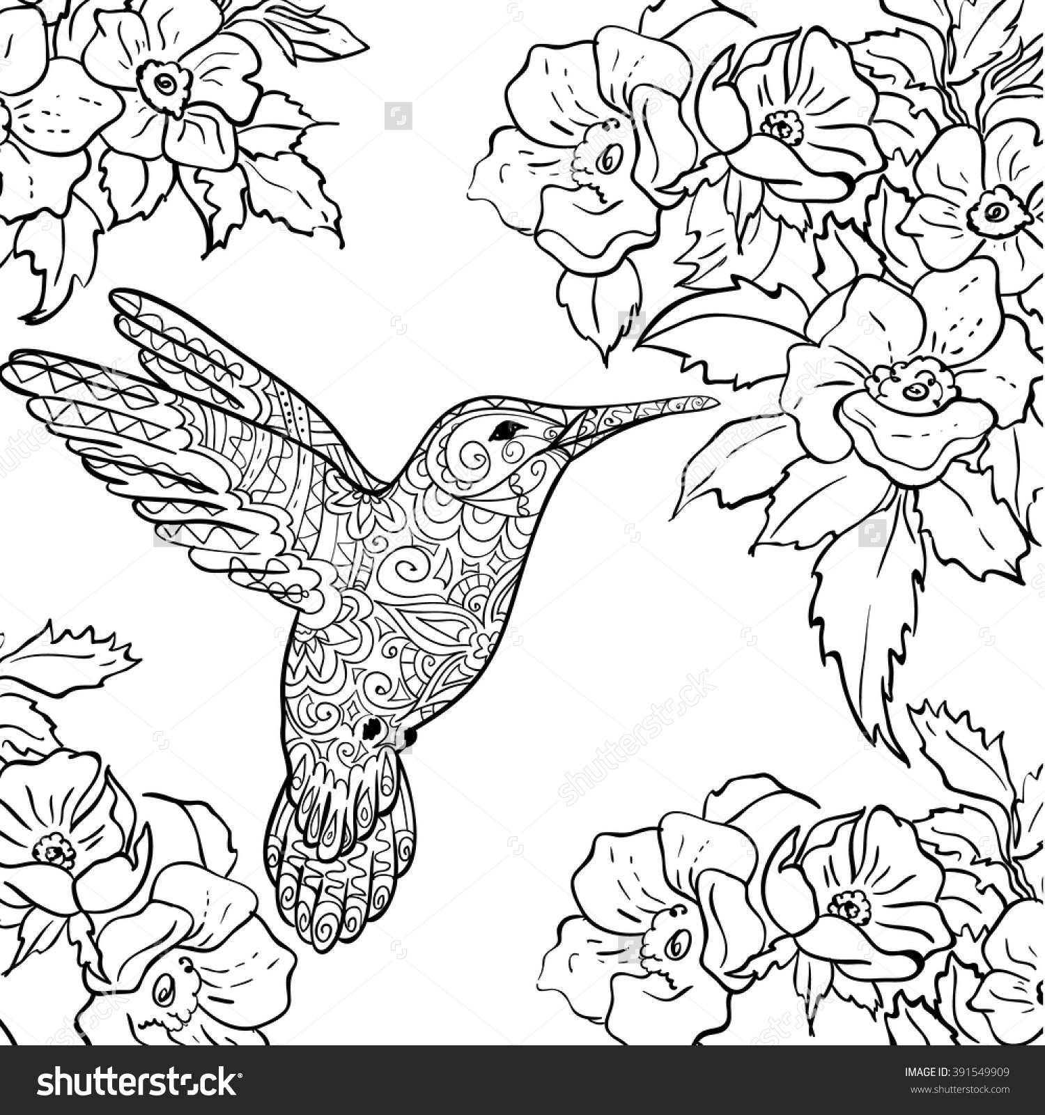 Hummingbird Coloring Pages
 Long tailed Sylph coloring Download Long tailed Sylph